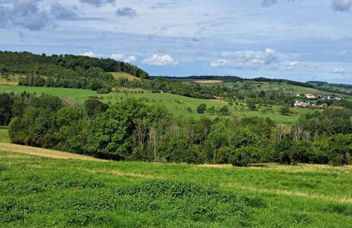 apartment, gite by the canal l Est,river Coney vosges france - Foto 27