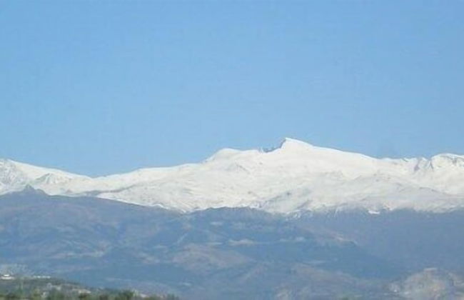 Apartamentos Pájaro Azul - Photo 5