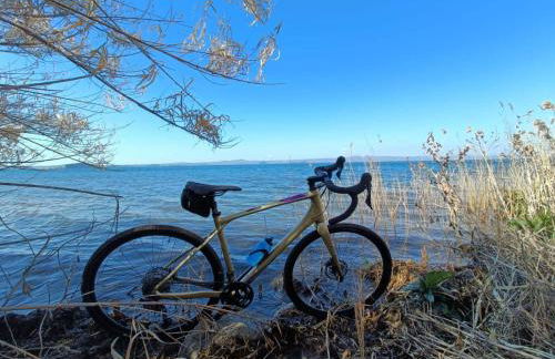 Agriturismo Buonasera - Foto 119