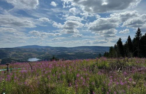 Bergmannsruh - Foto 24