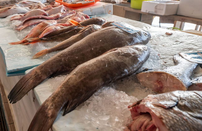 Bayview Nazaré - Foto 50