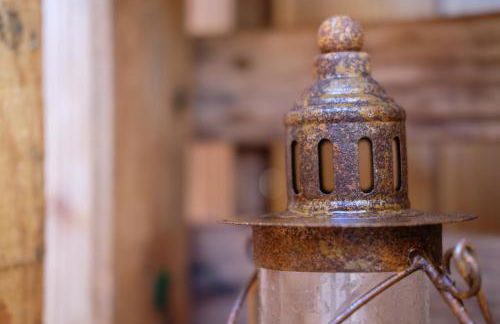 Iguana - Das Tiny Haus am Reptilienzoo Reptilium - Foto 26