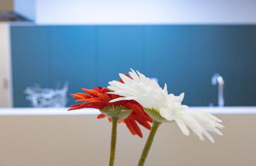 Vale71house - Foto 14