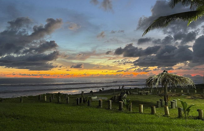 Sofy House - Photo 28