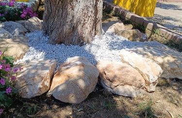 Grandmas Cottage - Photo 43