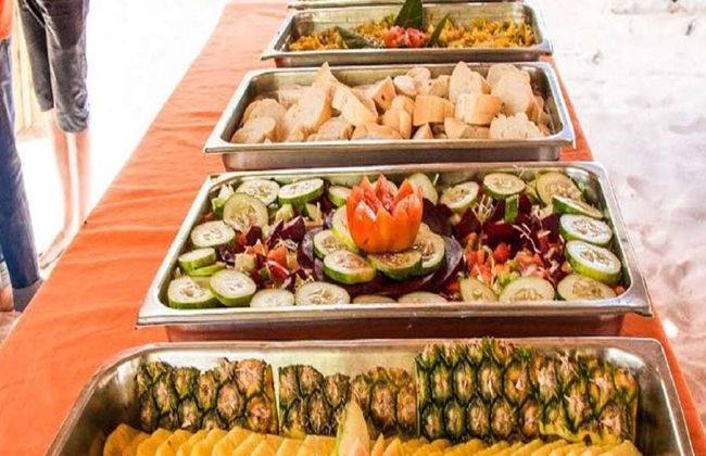 Cueva de las Maravillas, Catalina Island e Altos de Chavón - Tour de Dia Inteiro - Foto 8