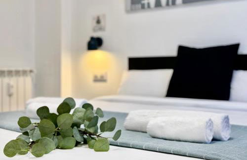 Charming Madrid Principe Pio - Photo 16