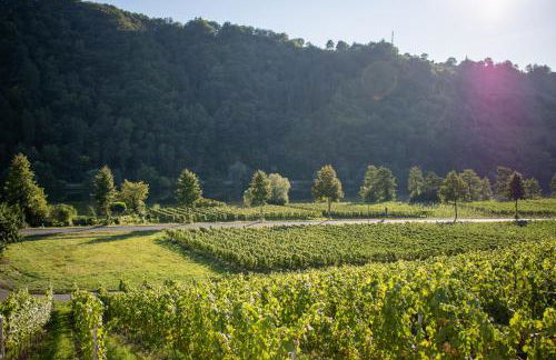 Weingut Johanneshof - Foto 13