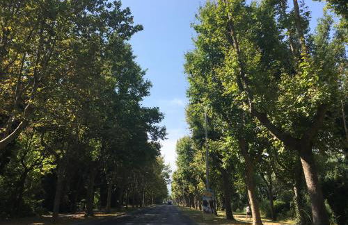 Cosy Lagune - Photo 66