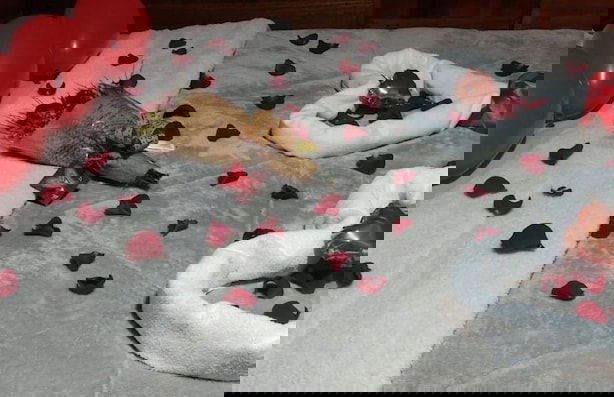 Vila Paraíso - Blumenau - SC - Photo 7