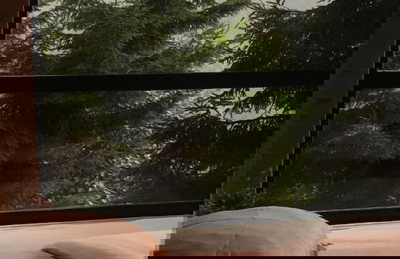 Ayder Dag Evi - Foto 11