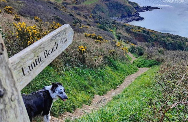 Newly Refurbished 2nd Floor Apartment Lil Nauti - Foto 34