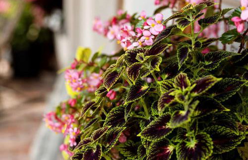 Apartament z tarasem - Foto 12