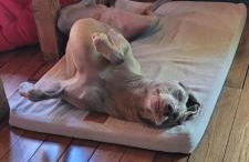 Suite Mana OHANA - Luxe et Authenticité à 2 pas de la Place Ducale avec Parking privé - Foto 51