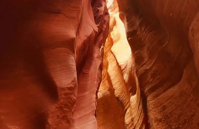 Day Trip to Antelope Canyon & Horseshoe Bend - Photo 4