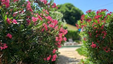 Eti and Mia holiday apartments - Foto 5