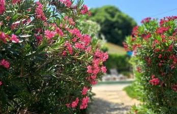 Eti and Mia holiday apartments - Foto 5