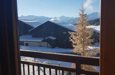 APPARTEMENT VUE SUR LES PISTES Aux SAISIES 4 - Foto 18
