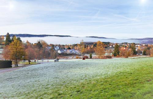 Apartment Caroline - Gemütliche Ferienwohnung mit Pool, Sauna und Hochschwarzwaldcard - Foto 27
