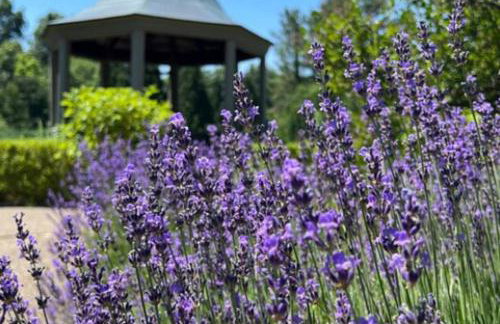 Secluded Luxe 5BR Estate| Pool, Wineries, Near ND - Foto 65