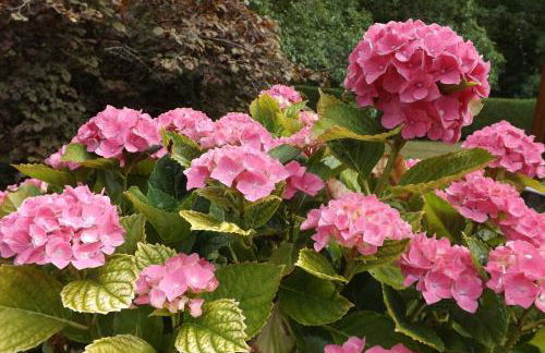 Gîte du Toilier - Foto 26