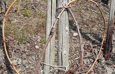 Ferienhaus Heimes - Foto 45