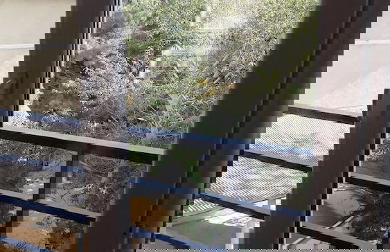 Samatsa Georgia Apartments - Foto 51