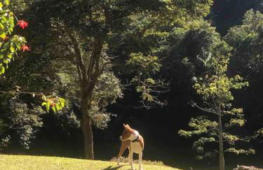 Reserva Atibaia / Casa de Montanha - Photo 46