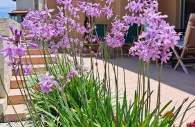 Gea Maleme - Foto 63