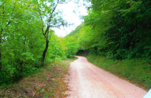 appartamento Colticciola Agriturismo Marche - Foto 16