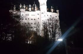 neuschwanstein-blick - Photo 50