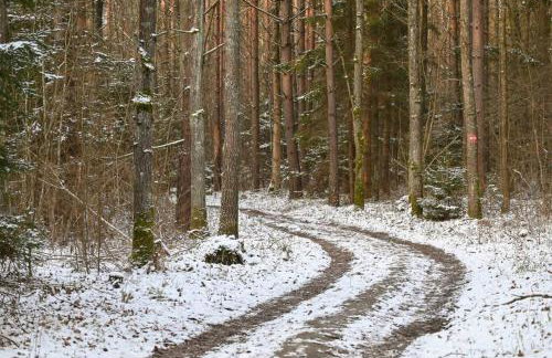 Apartament w Puszczy Białowieskiej - Foto 19