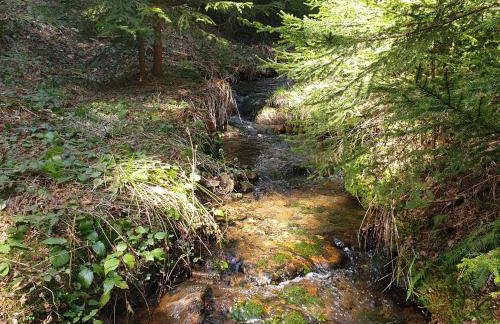 Chata góralska Wojtasówka - Foto 45