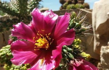 Hvar Mediterranean Ranch House - Foto 18