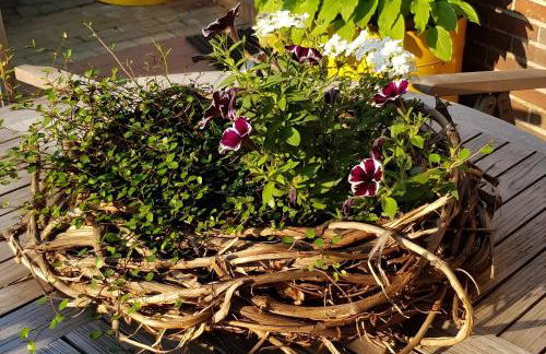 Ferienwohnungen Warnken - Foto 51