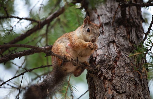 tenuta castel dell'aquila - Photo 33