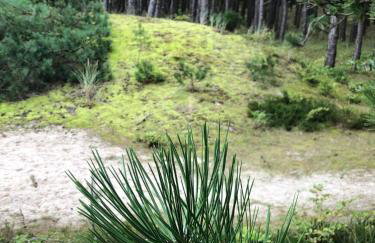 Apartamenty nad morzem Przy klifie 3 Dębina - Foto 69