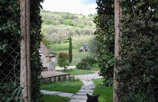 Agriturismo Casa Fibbianello - Foto 30