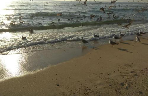 Villa Nenúfares - Foto 45