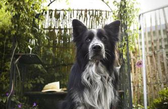 Ferienwohnung Maierers Schaiere - Foto 22