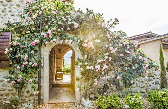 2 bedroom Apartment in Allerona with swimming pool and garden - Photo 17