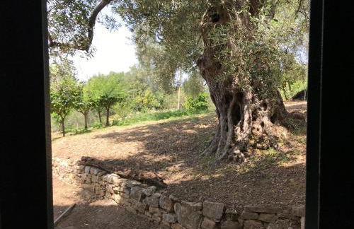 La Casa del Maestro Attico - Photo 55