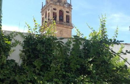 Entre 2 Mezquitas Apartamento 8 - Foto 9