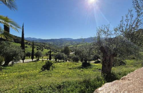 Agro tourism house GAUGUIN with pool Finca el Moralejo TOLOX - Foto 29