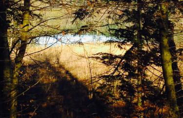 Haus DreiSeenBlick - adults only - Foto 22