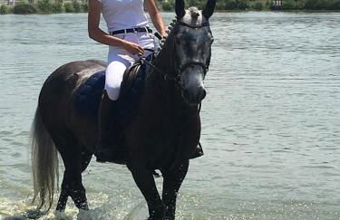 Élégance et confort à Chartres - Foto 46