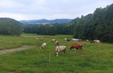 Maraśka Holiday House - Foto 37