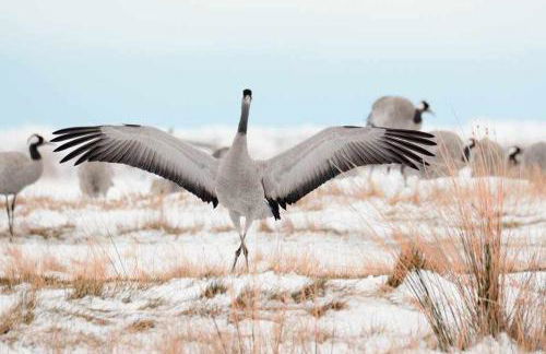 Casas rurales LA LAGUNA y LA BUHARDILLA DE LA LAGUNA - Foto 51