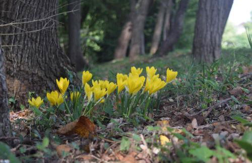 Agriturismo da Gastone - Foto 73