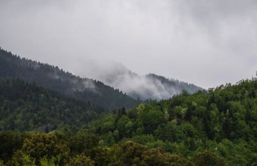 ARBOR Ktistades hosting - Foto 25